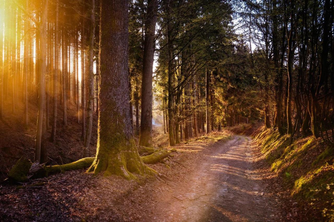 Ferienwohnung Am Waldweg Kaisersesch Esterno foto